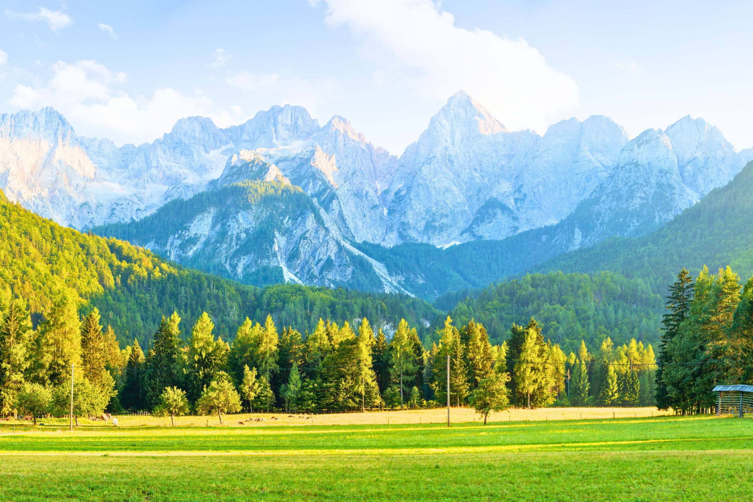 kranjska gora (3).webp